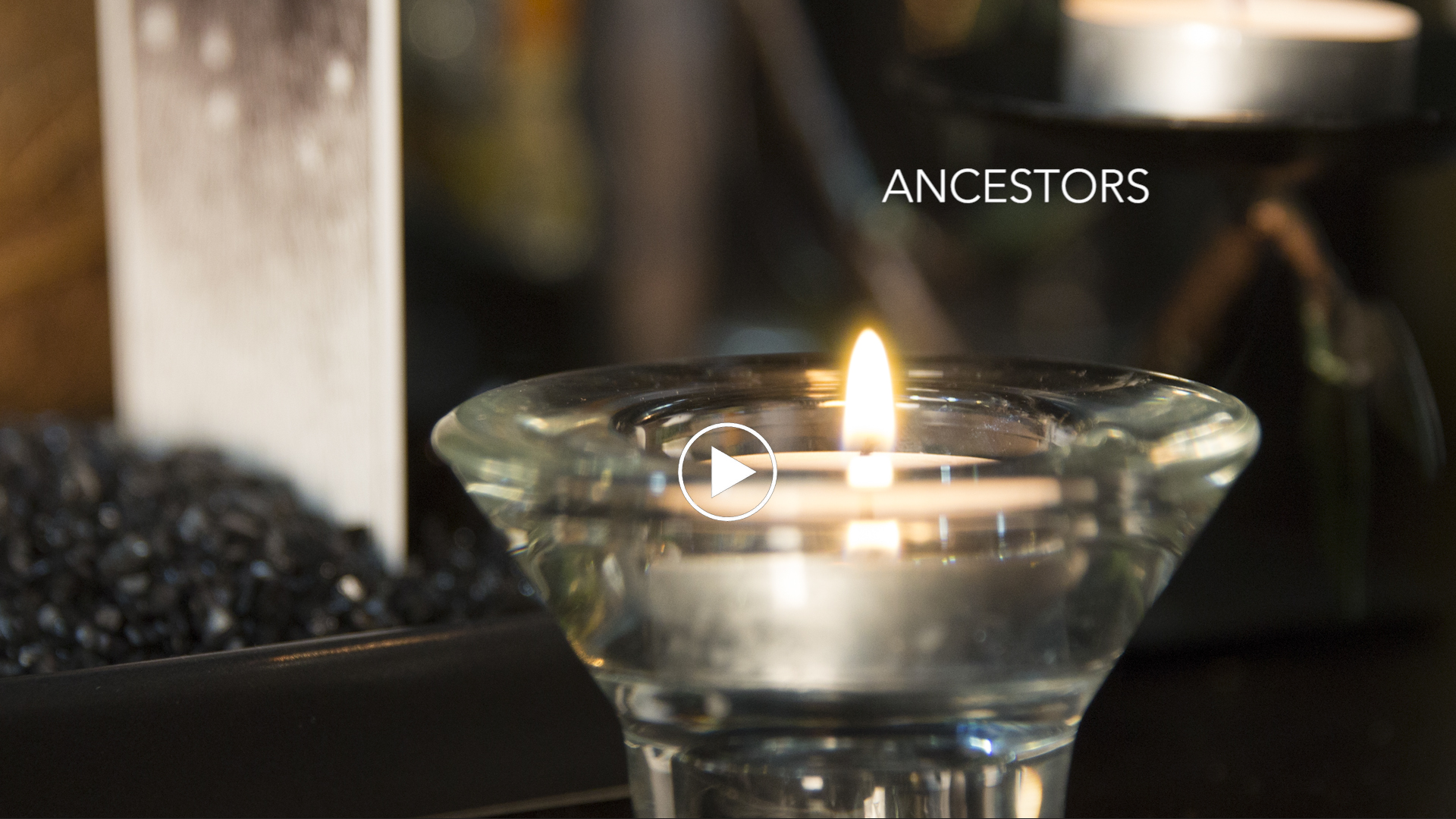 Infused.tv - Ancestors (Episode 1 - Course2 )